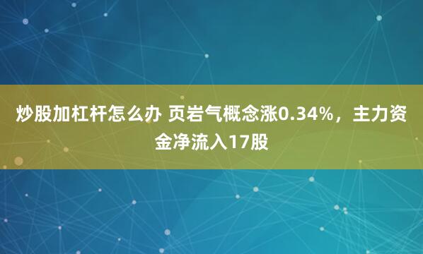 炒股加杠杆怎么办 页岩气概念涨0.34%,主力资金净流入17股