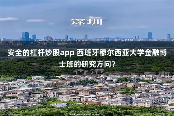 安全的杠杆炒股app 西班牙穆尔西亚大学金融博士班的研究方向?
