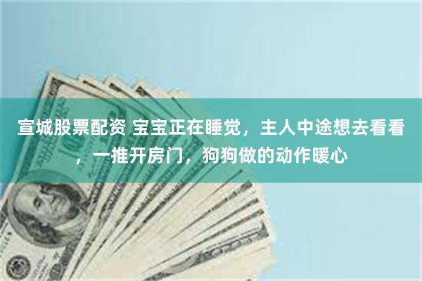 宣城股票配资 宝宝正在睡觉,主人中途想去看看,一推开房门,狗狗做的动作暖心