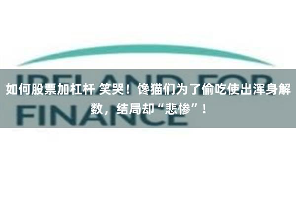 如何股票加杠杆 笑哭!馋猫们为了偷吃使出浑身解数,结局却“悲惨”!