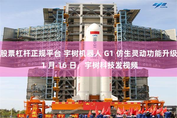 股票杠杆正规平台 宇树机器人 G1 仿生灵动功能升级 1 月 16 日,宇树科技发视频