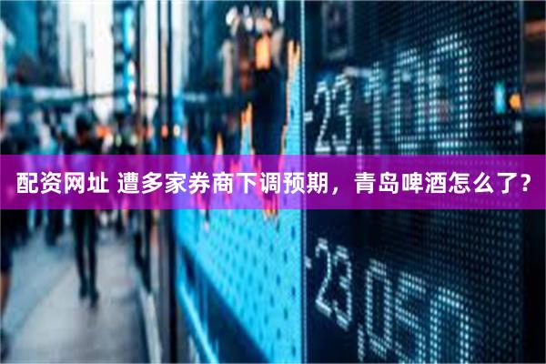 配资网址 遭多家券商下调预期,青岛啤酒怎么了?