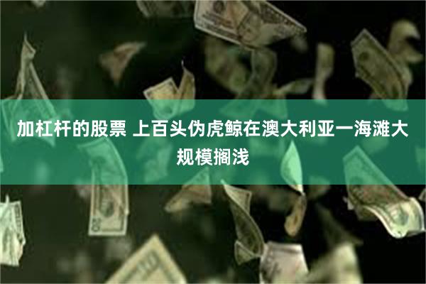 加杠杆的股票 上百头伪虎鲸在澳大利亚一海滩大规模搁浅