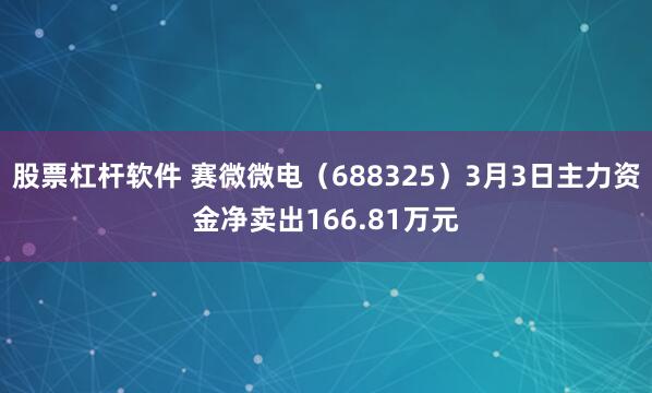 股票杠杆软件 赛微微电(688325)3月3日主力资金净卖出166.81万元