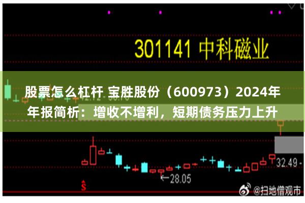 股票怎么杠杆 宝胜股份（600973）2024年年报简析：增收不增利，短期债务压力上升