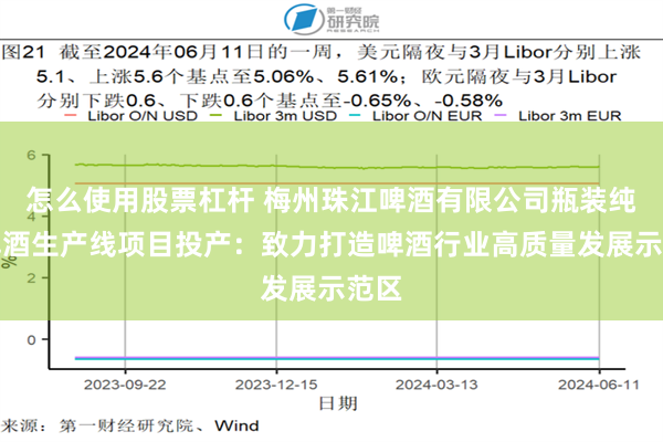 怎么使用股票杠杆 梅州珠江啤酒有限公司瓶装纯生啤酒生产线项目投产:致力打造啤酒行业高质量发展示范区