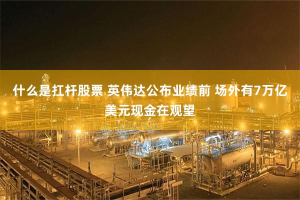 什么是扛杆股票 英伟达公布业绩前 场外有7万亿美元现金在观望