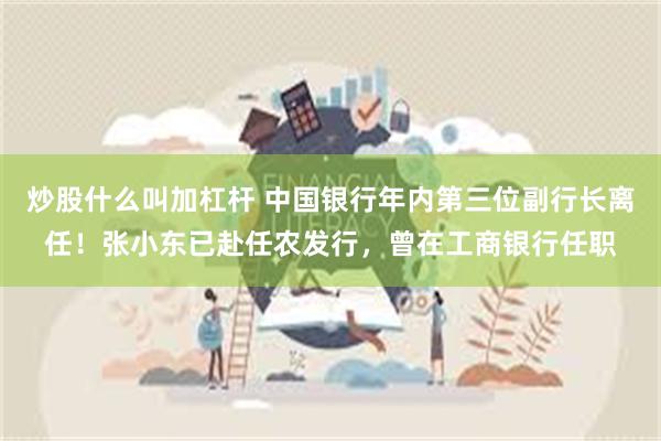 炒股什么叫加杠杆 中国银行年内第三位副行长离任!张小东已赴任农发行,曾在工商银行任职