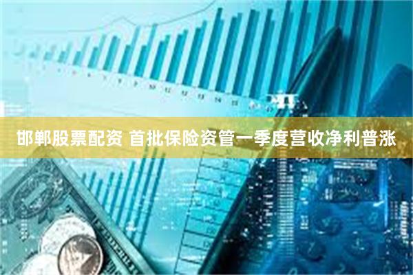 邯郸股票配资 首批保险资管一季度营收净利普涨