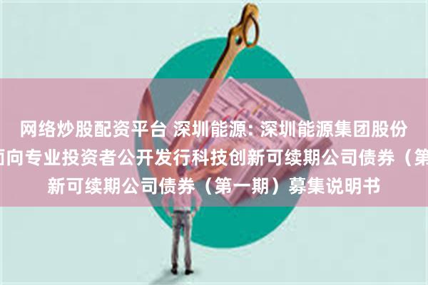 网络炒股配资平台 深圳能源: 深圳能源集团股份有限公司2025年面向专业投资者公开发行科技创新可续期公司债券(第一期)募集说明书