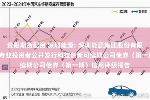 贵阳期货配资 深圳能源: 深圳能源集团股份有限公司2025年面向专业投资者公开发行科技创新可续期公司债券(第一期)信用评级报告