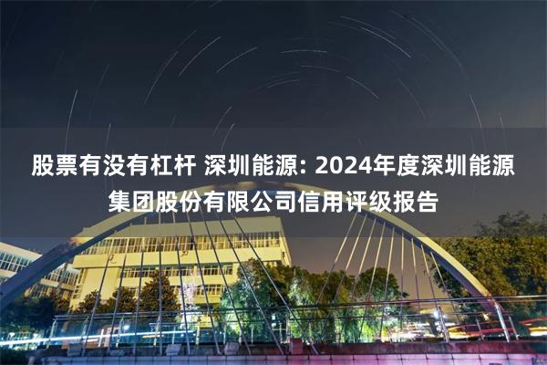 股票有没有杠杆 深圳能源: 2024年度深圳能源集团股份有限公司信用评级报告
