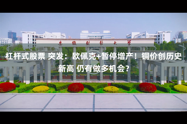 杠杆式股票 突发:欧佩克+暂停增产!铜价创历史新高 仍有做多机会?