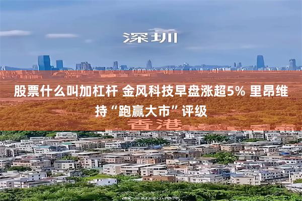 股票什么叫加杠杆 金风科技早盘涨超5% 里昂维持“跑赢大市”评级