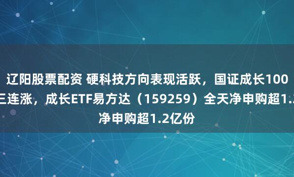 辽阳股票配资 硬科技方向表现活跃，国证成长100指数三连涨，成长ETF易方达（159259）全天净申购超1.2亿份