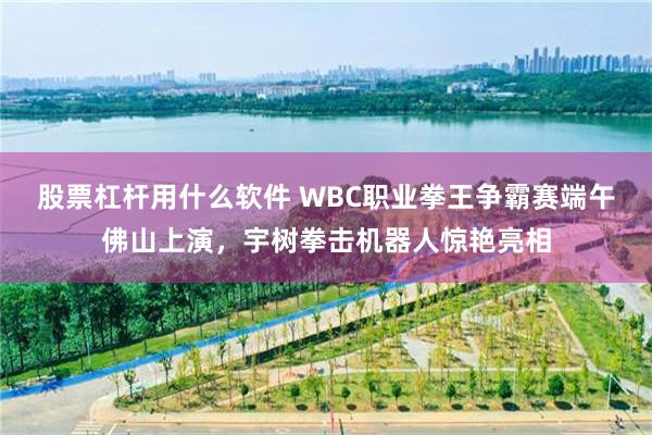 股票杠杆用什么软件 WBC职业拳王争霸赛端午佛山上演,宇树拳击机器人惊艳亮相