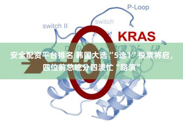 安全配资平台排名 韩国大选“5选1”投票将启，四位前总统分四波忙“路演”