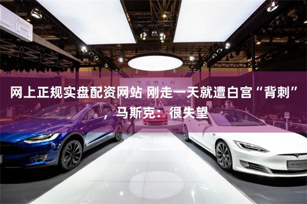 网上正规实盘配资网站 刚走一天就遭白宫“背刺” ，马斯克：很失望
