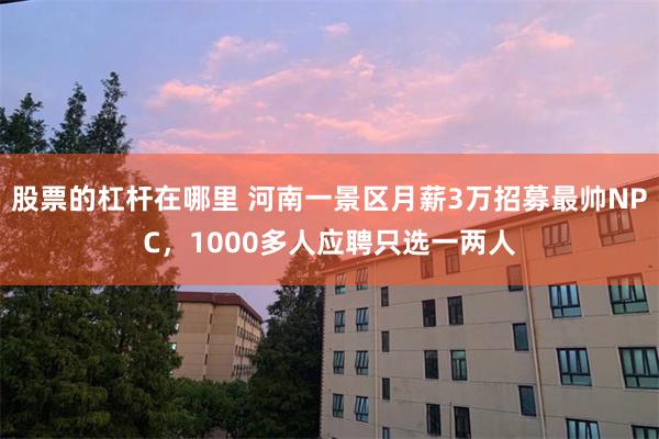 股票的杠杆在哪里 河南一景区月薪3万招募最帅NPC，1000多人应聘只选一两人