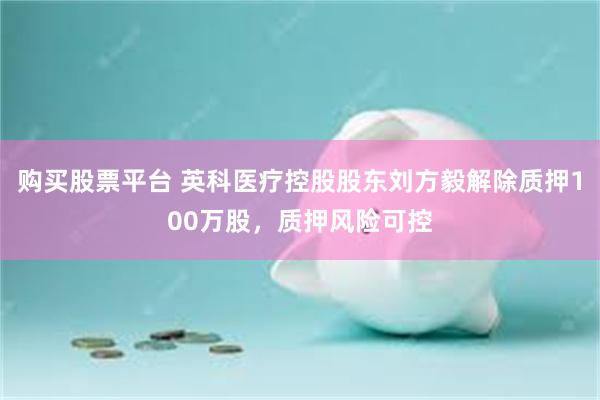 购买股票平台 英科医疗控股股东刘方毅解除质押100万股，质押风险可控