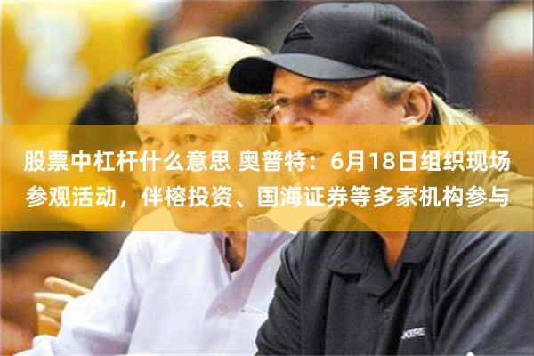 股票中杠杆什么意思 奥普特：6月18日组织现场参观活动，伴榕投资、国海证券等多家机构参与