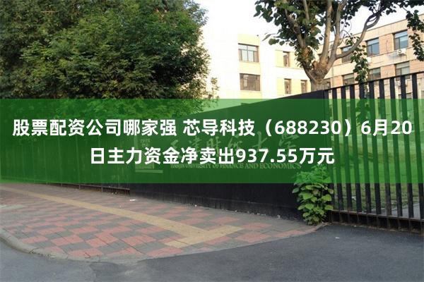 股票配资公司哪家强 芯导科技（688230）6月20日主力资金净卖出937.55万元