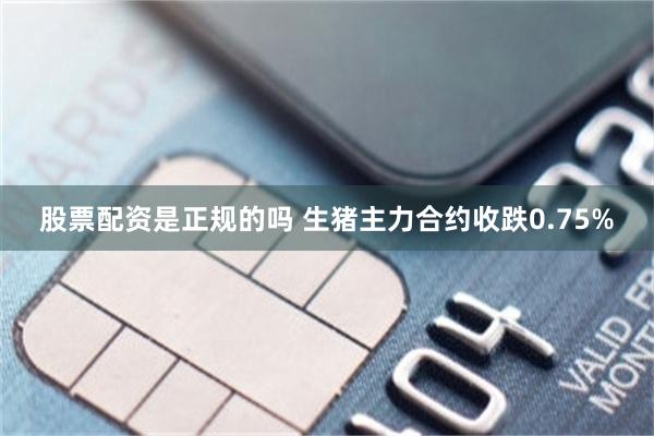 股票配资是正规的吗 生猪主力合约收跌0.75%