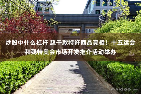 炒股中什么杠杆 超千款特许商品亮相！十五运会和残特奥会市场开发推介活动举办