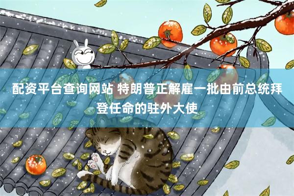 配资平台查询网站 特朗普正解雇一批由前总统拜登任命的驻外大使
