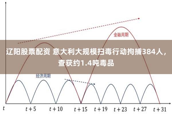 辽阳股票配资 意大利大规模扫毒行动拘捕384人，查获约1.4吨毒品