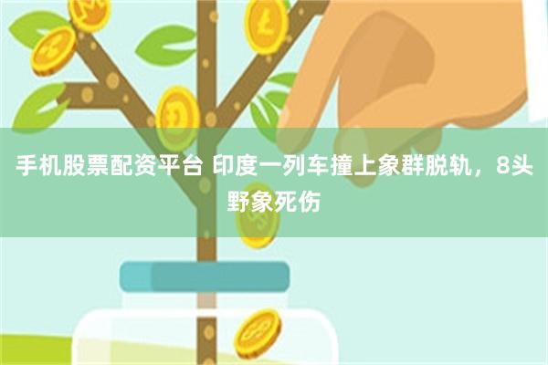 手机股票配资平台 印度一列车撞上象群脱轨,8头野象死伤