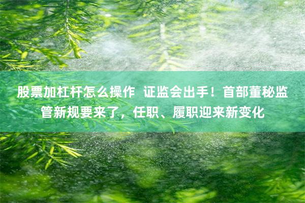 股票加杠杆怎么操作  证监会出手！首部董秘监管新规要来了，任职、履职迎来新变化