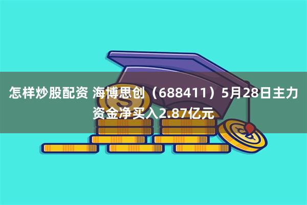 怎样炒股配资 海博思创（688411）5月28日主力资金净买入2.87亿元