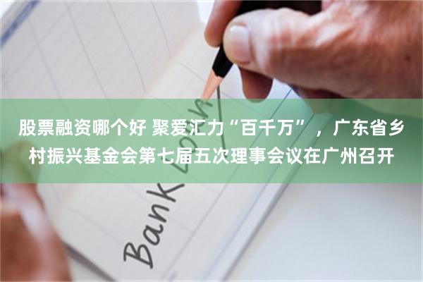 股票融资哪个好 聚爱汇力“百千万” ，广东省乡村振兴基金会第七届五次理事会议在广州召开