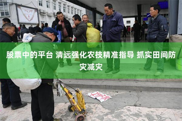 股票中的平台 清远强化农技精准指导 抓实田间防灾减灾