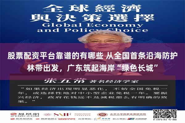 股票配资平台靠谱的有哪些 从全国首条沿海防护林带出发，广东筑起海岸“绿色长城”