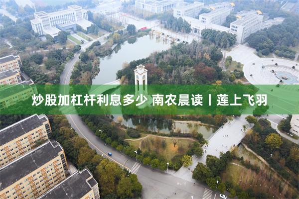 炒股加杠杆利息多少 南农晨读丨莲上飞羽