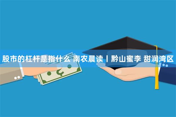 股市的杠杆是指什么 南农晨读丨黔山蜜李 甜润湾区