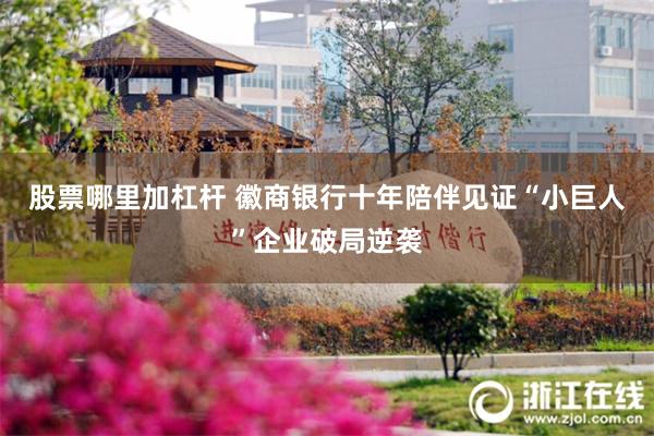 股票哪里加杠杆 徽商银行十年陪伴见证“小巨人”企业破局逆袭