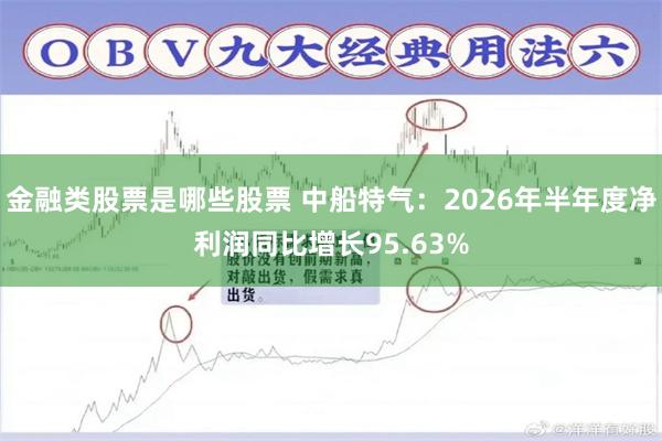 金融类股票是哪些股票 中船特气:2026年半年度净利润同比增长95.63%