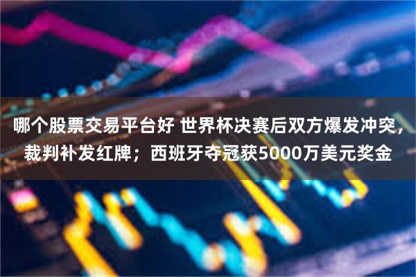 哪个股票交易平台好 世界杯决赛后双方爆发冲突,裁判补发红牌;西班牙夺冠获5000万美元奖金