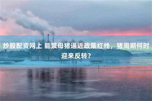 炒股配资网上 能繁母猪逼近政策红线，猪周期何时迎来反转？