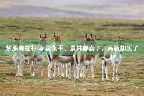炒股有杠杆吗 段永平、景林都卖了，高瓴却买了