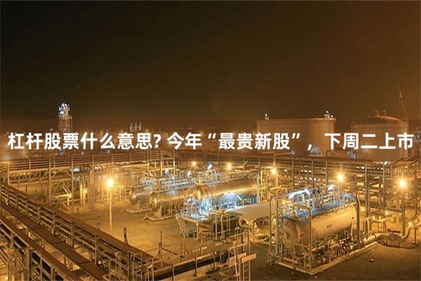 杠杆股票什么意思? 今年“最贵新股”，下周二上市