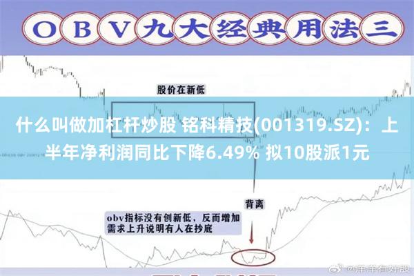 什么叫做加杠杆炒股 铭科精技(001319.SZ)：上半年净利润同比下降6.49% 拟10股派1元
