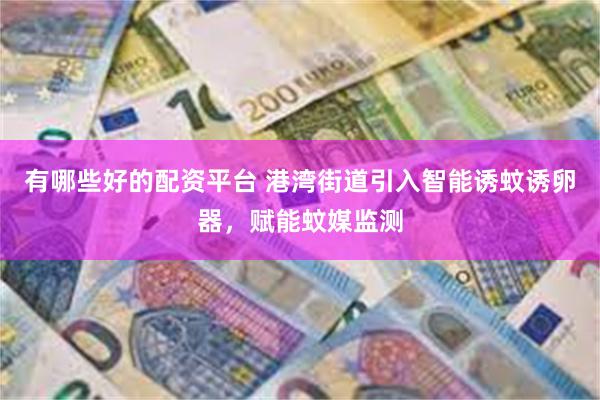 有哪些好的配资平台 港湾街道引入智能诱蚊诱卵器，赋能蚊媒监测