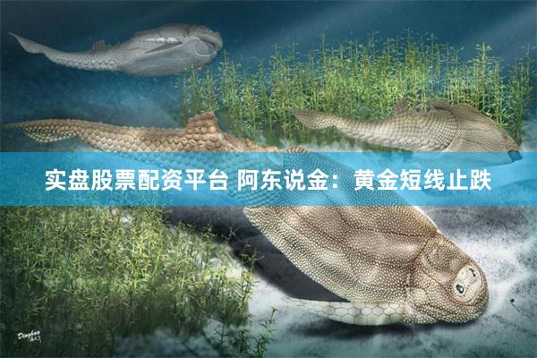 实盘股票配资平台 阿东说金：黄金短线止跌