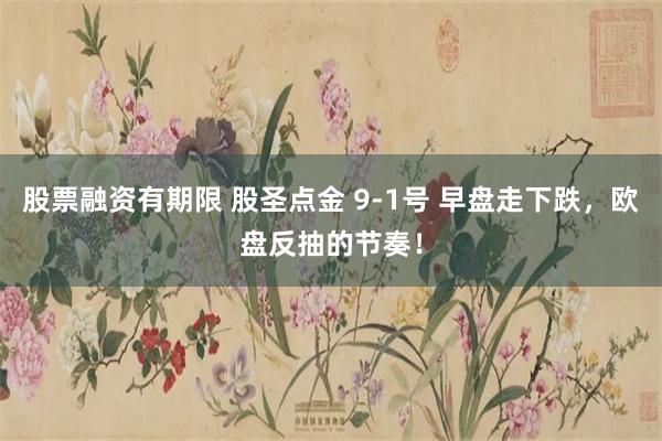 股票融资有期限 股圣点金 9-1号 早盘走下跌，欧盘反抽的节奏！