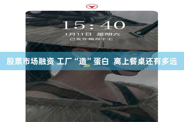 股票市场融资 工厂“造”蛋白  离上餐桌还有多远