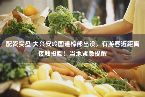 配资实盘 大兴安岭国道棕熊出没，有游客近距离接触投喂！当地紧急提醒